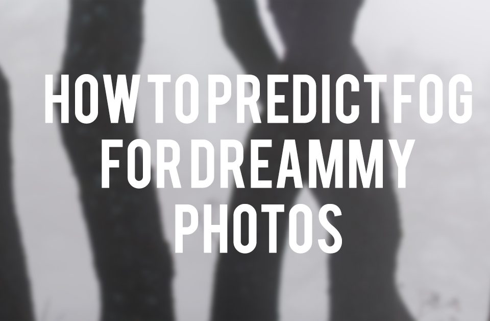 How to predict fog for dreamy photos